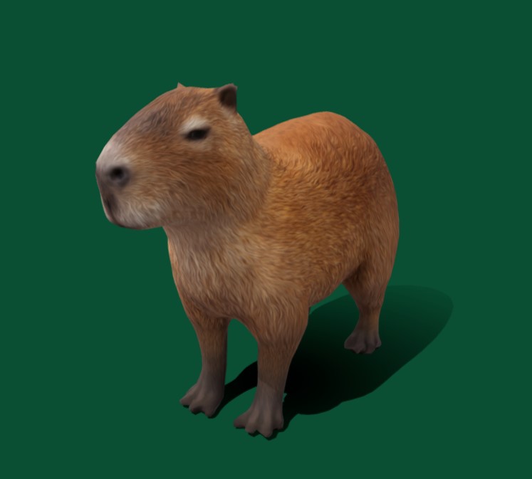 Preview of Capybara