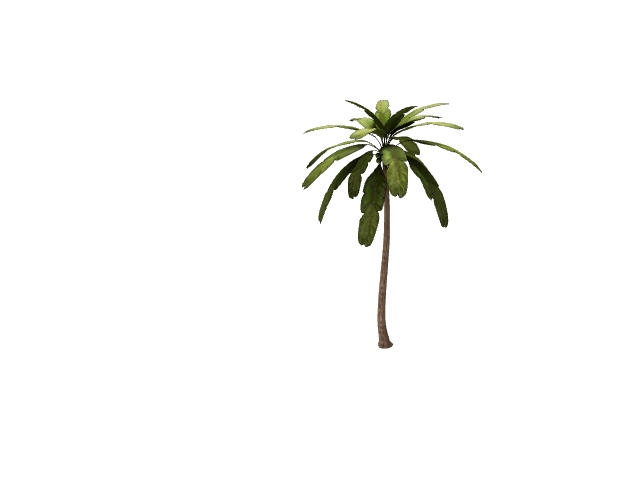 Preview of PalmTree