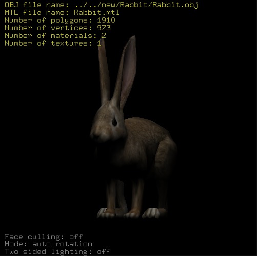 Preview of Rabbit