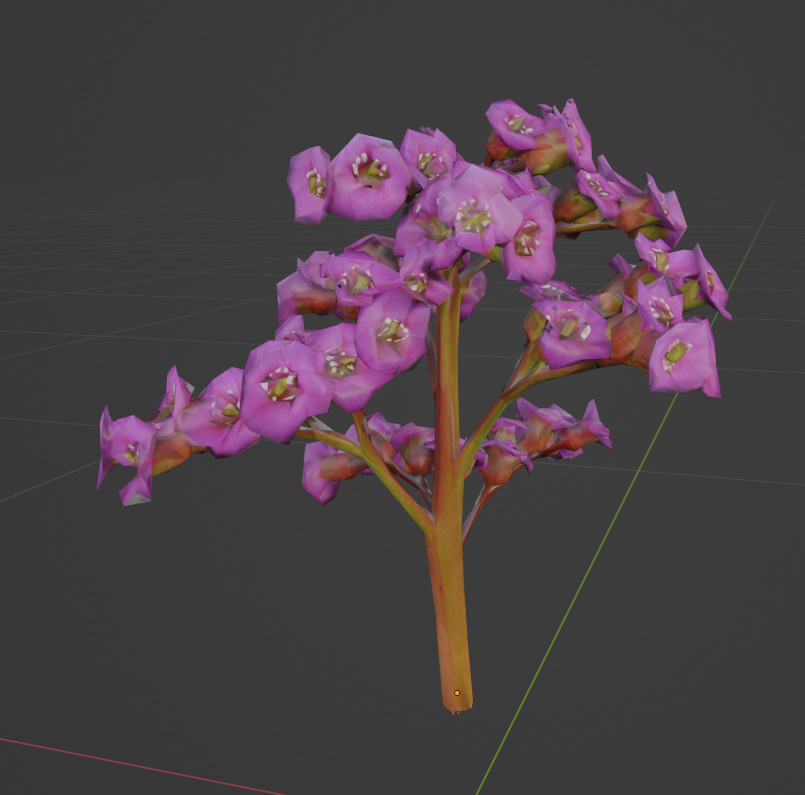 Preview of begenia