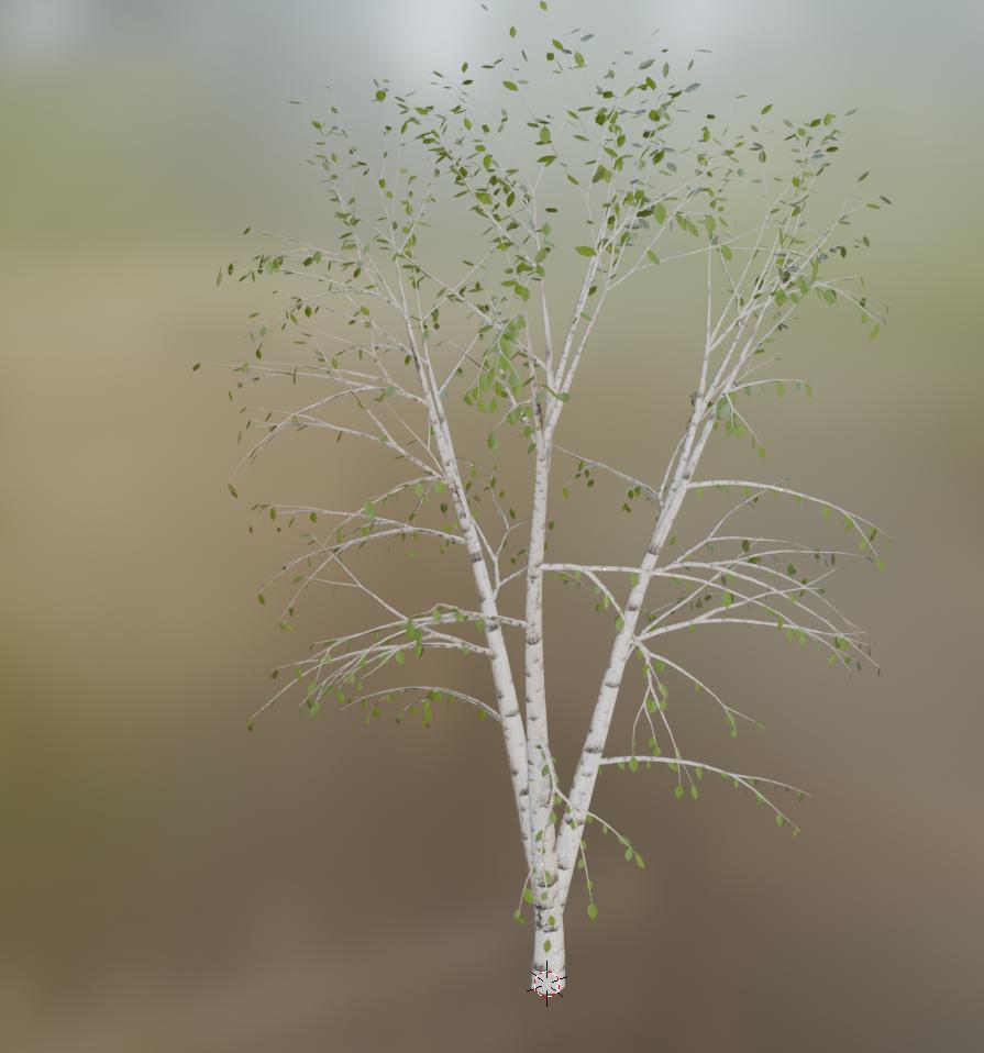 Preview of birch