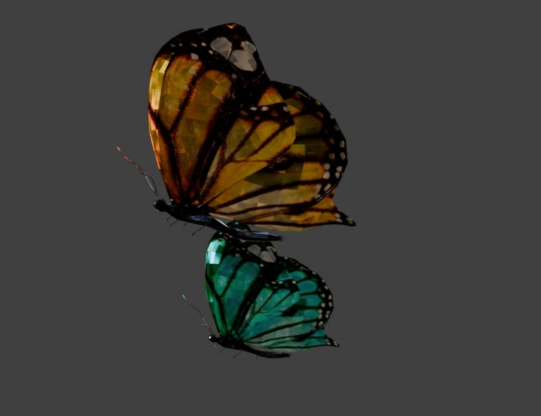 Preview of butterfly