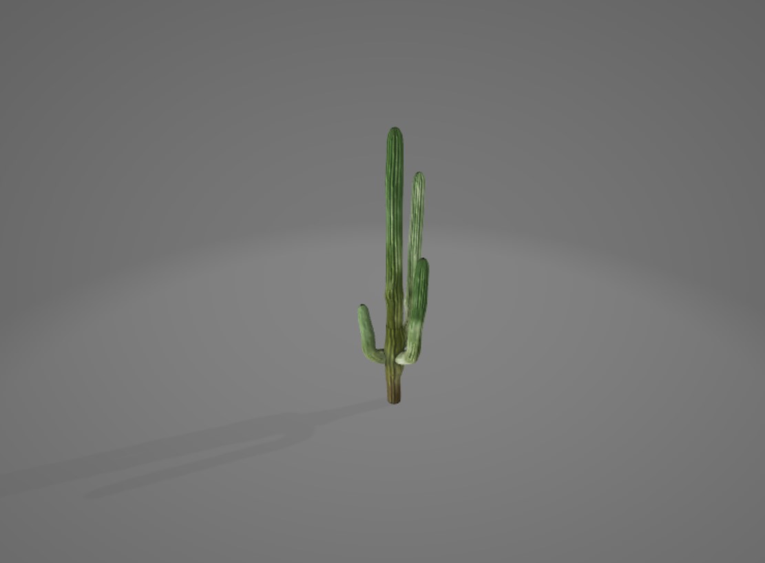 Preview of cactus