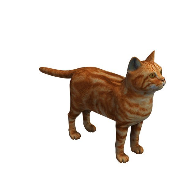 Preview of cat_1