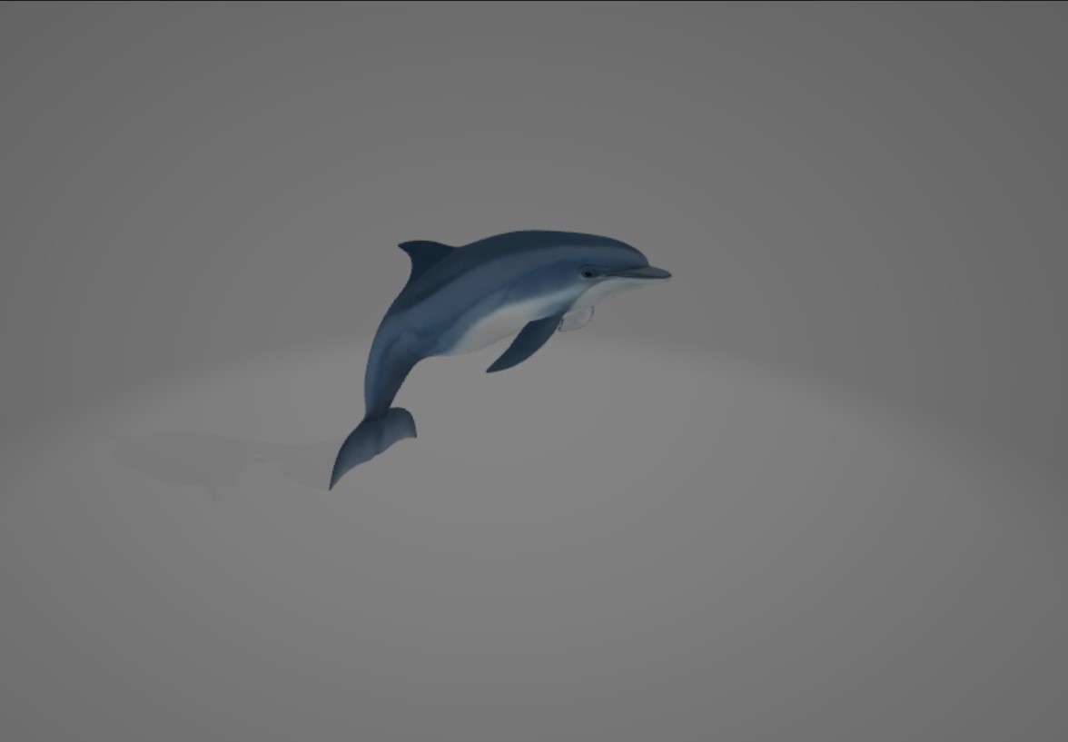 Preview of dolphin