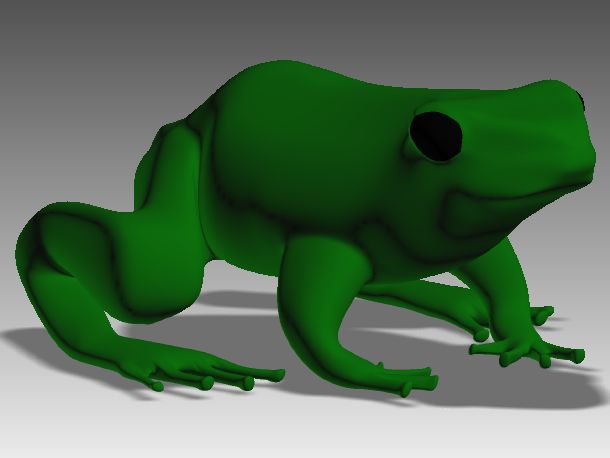 frog preview