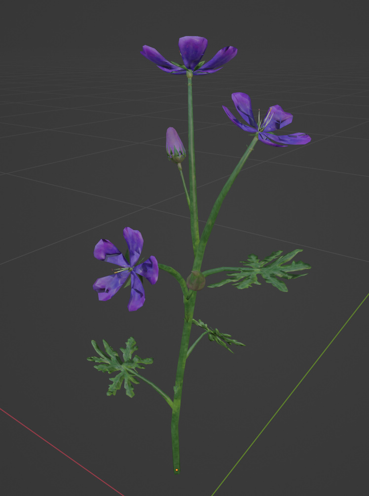 Preview of geranium