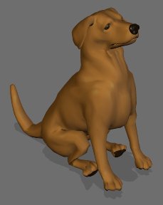 labrador preview