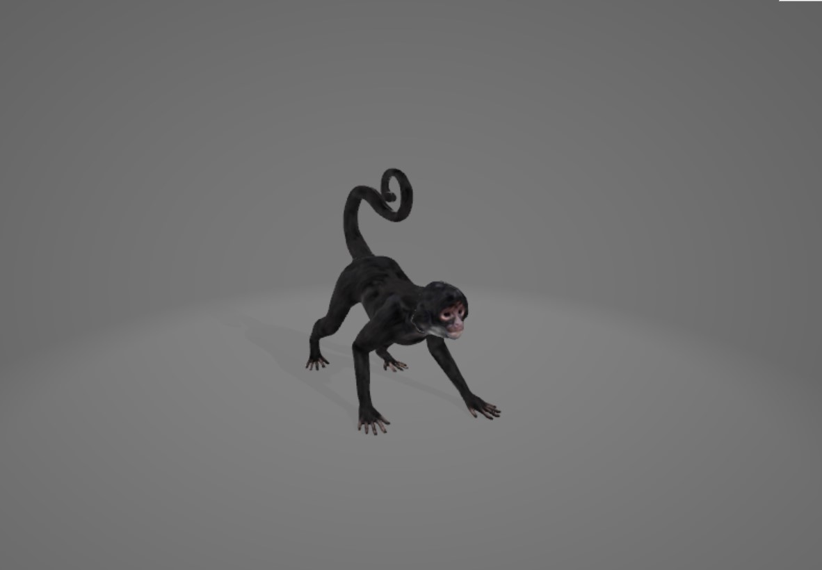 Preview of monkey
