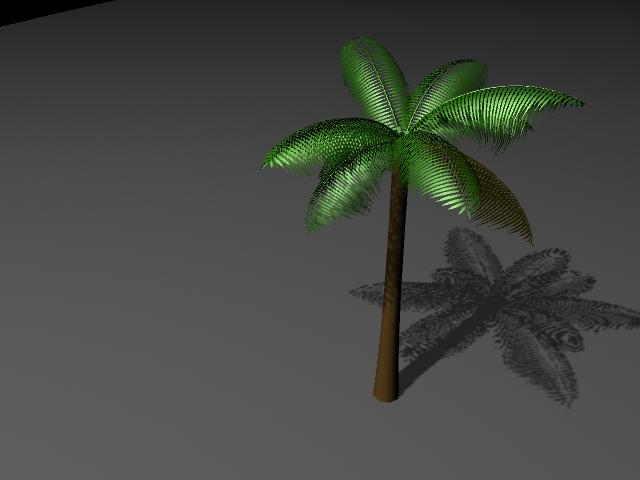 palm preview