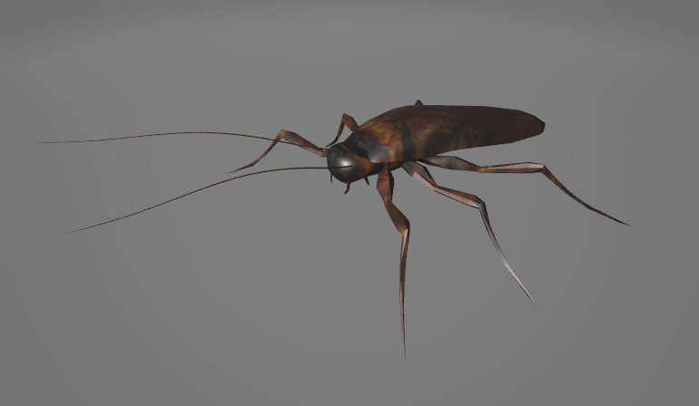 Preview of Roach