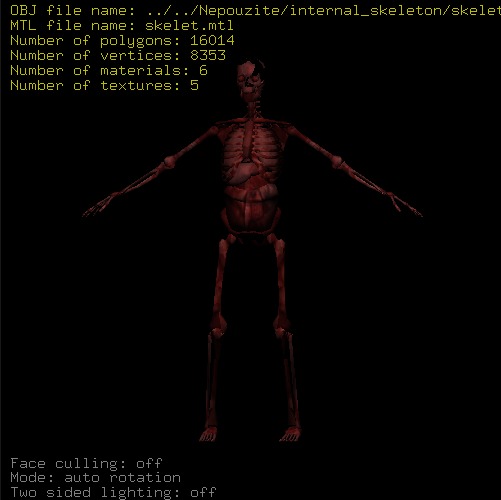 Preview of skelet