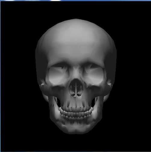 skull preview