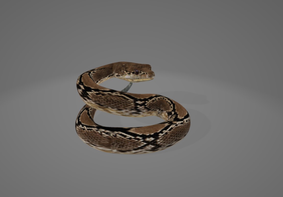 Preview of snake