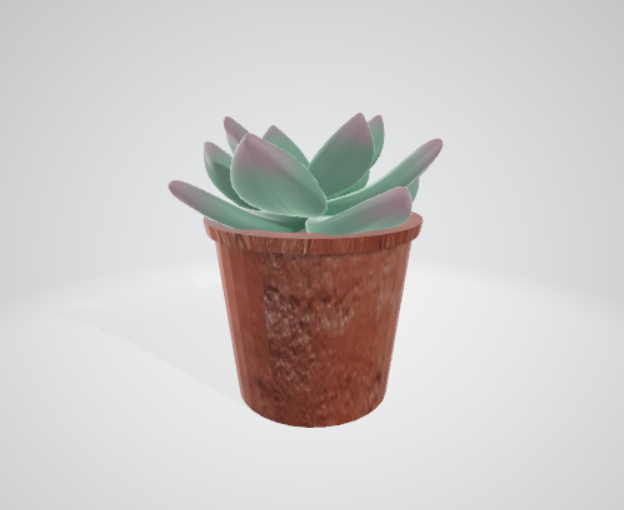 Succulent
